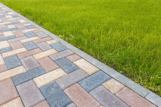 Reasons to Select Us for Your Driveway Paving Requirements in Anchor Point, AK